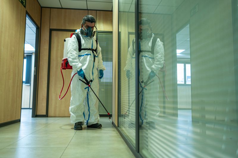 Spider Fumigation Service in Asheville, NC